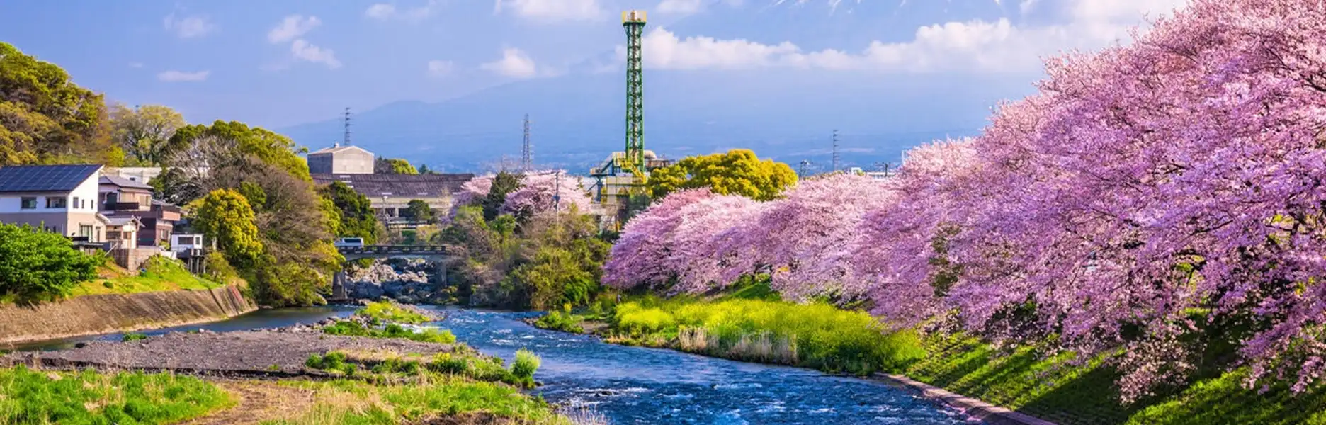 17 Best Places to See Cherry Blossoms in Japan in 2026