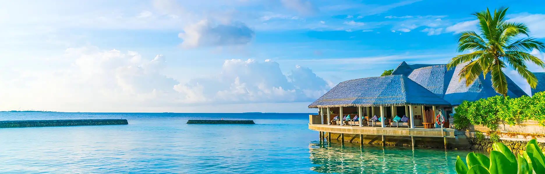 Exotic Andaman: A Tropical Paradise Awaits