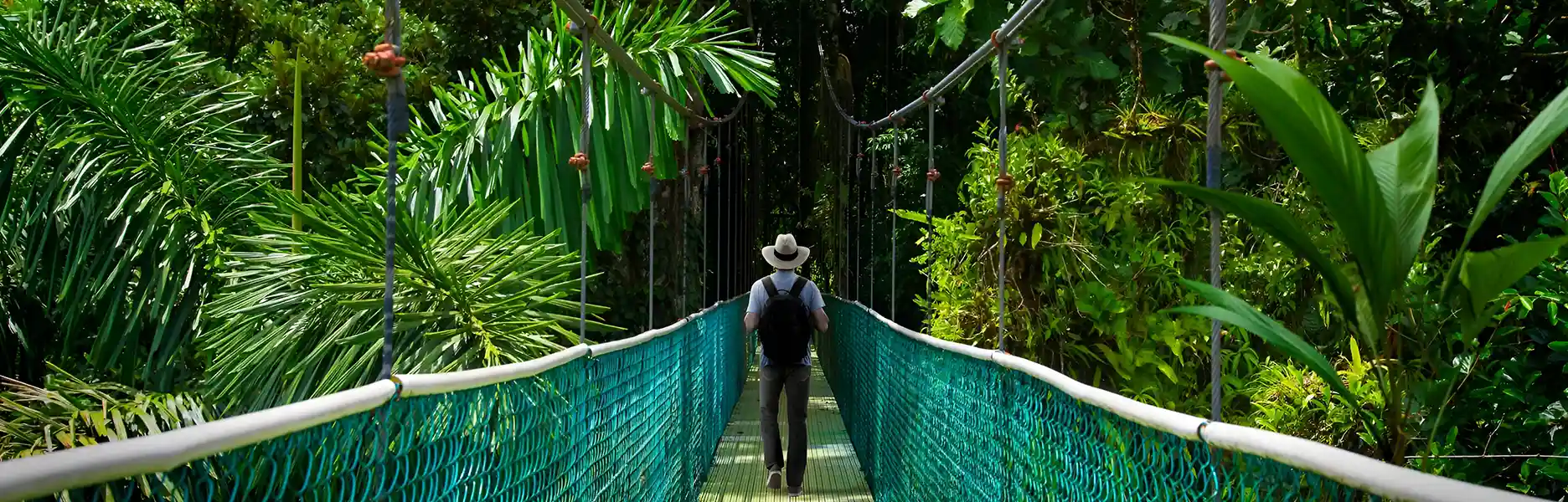 Lost in Translation: Navigating the European Language Jungle