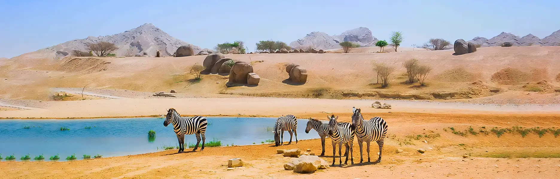 7 Places to See Wildlife in the UAE in 2026