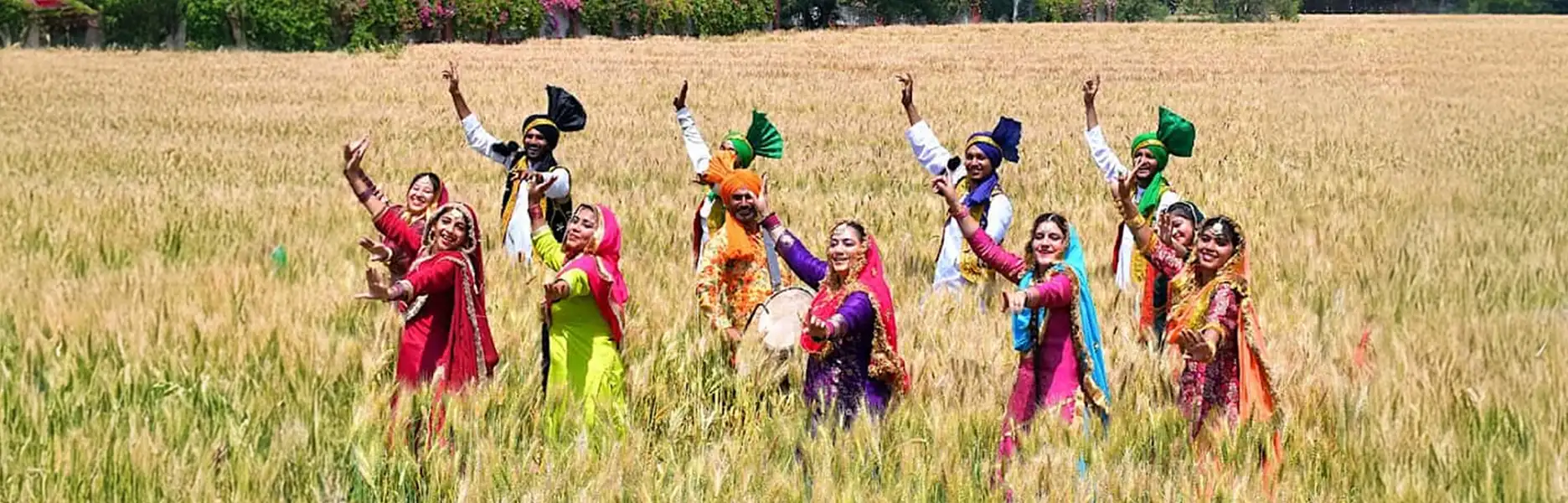 11 Best Festivals in November in India 2025