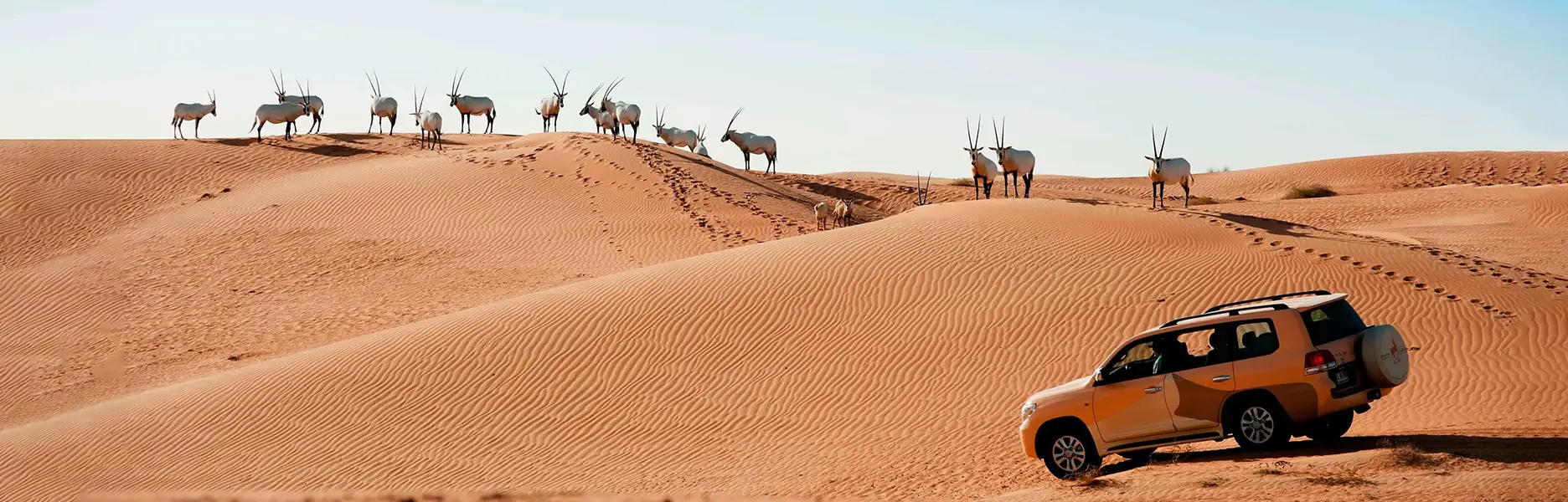 Digital Innovation Meets Travel: The Story Behind UAE’s First Travel Tuesday Campaign