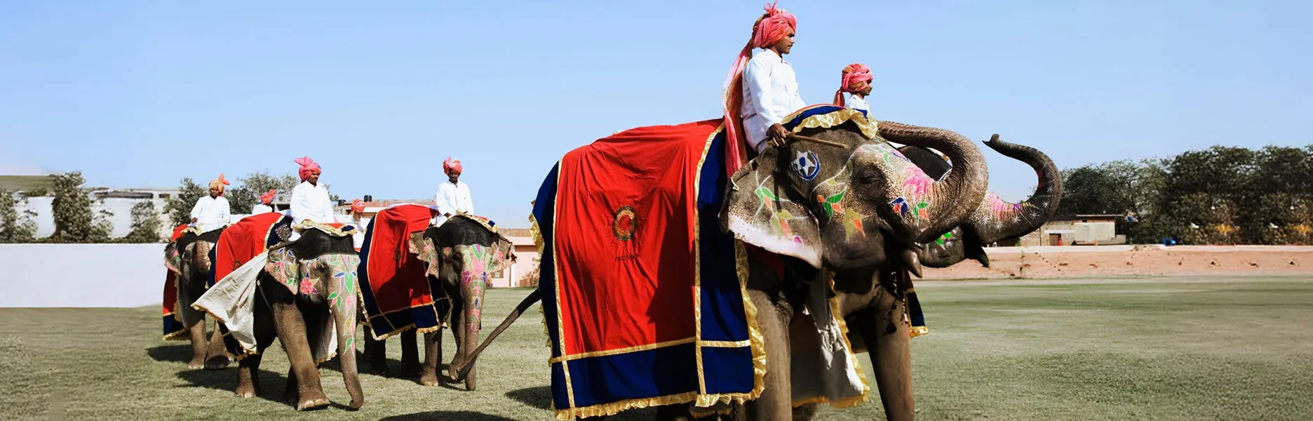 Guide to Celebrate Jaipur Elephant Festival