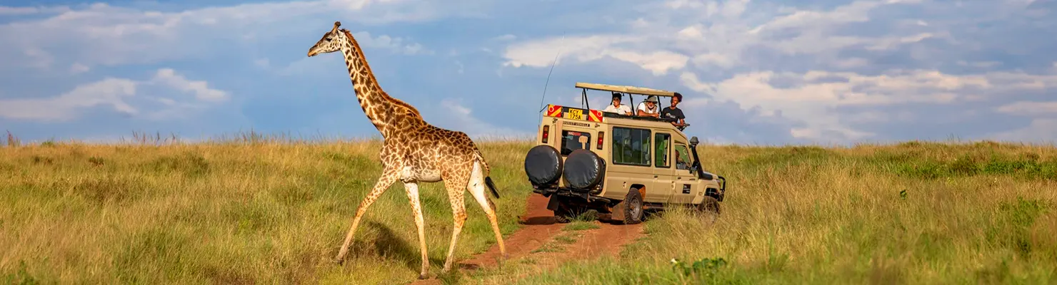 Masai Mara Tour Package from Dubai: Complete Safari Travel Guide 2026