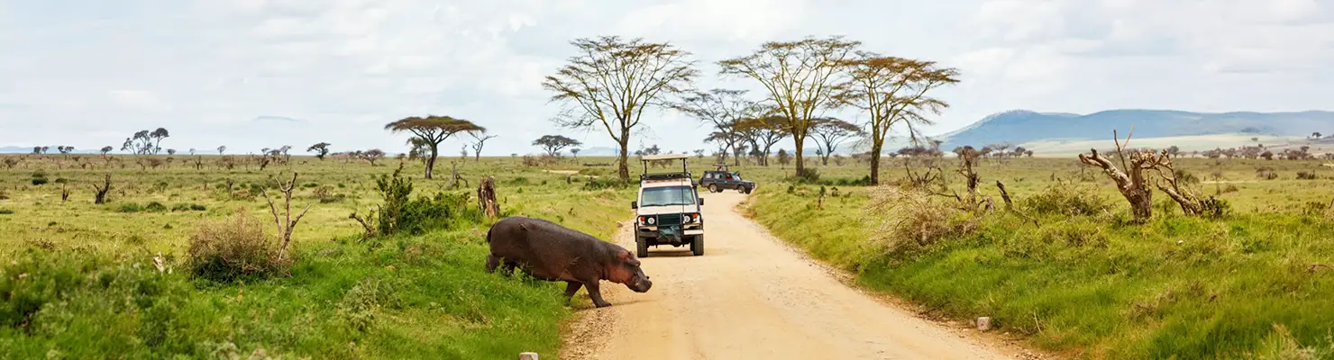 Kenya Travel Guide for UAE Travellers: Best Places, Safari Experiences, Costs & Travel Tips