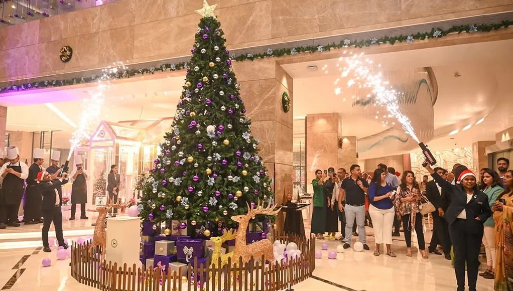 8 Best Places to Visit During Christmas in India 2025