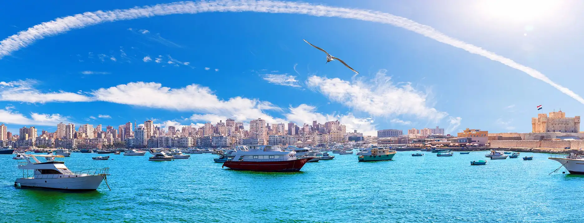 Beauty of Alexandria