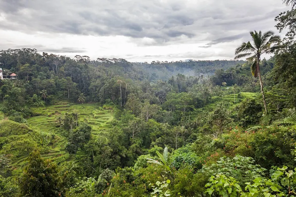 Itinerary 10