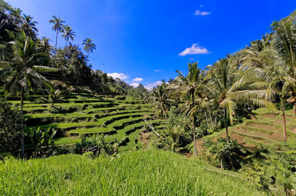 Itinerary 18