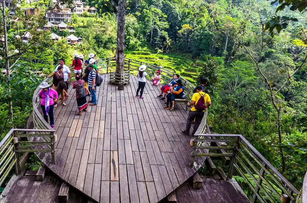 Itinerary 11