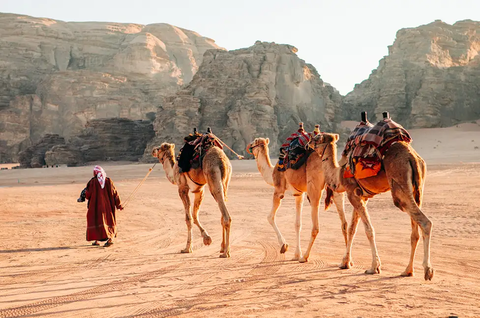 Itinerary 14