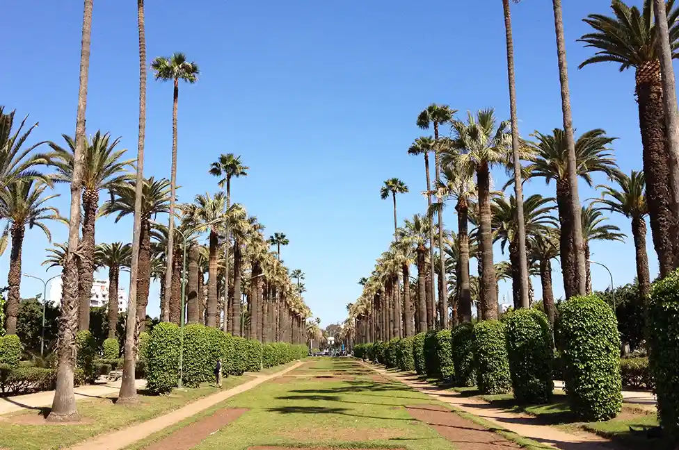 Itinerary 15