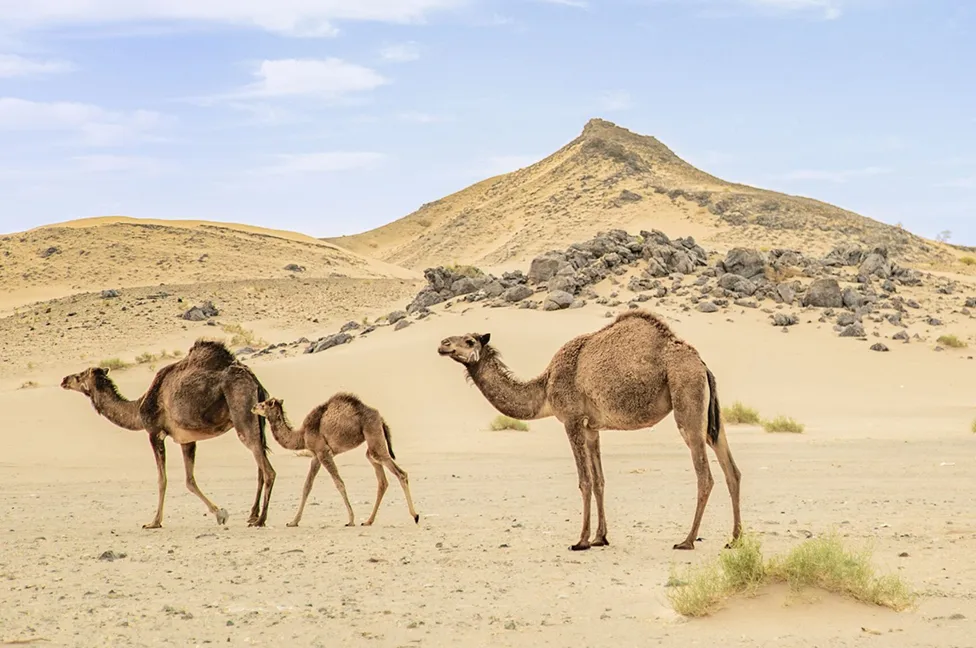 Itinerary 12