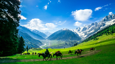 Kashmir Majestic Escape From Lakes to Valleys 