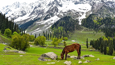 Glorious Kashmir