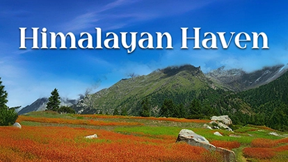 Serene Himalayan Haven - Rakcham & Sangla Luxury Retreat