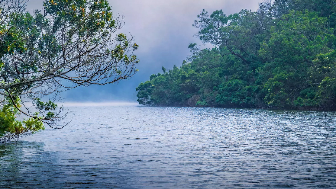 Serene Heights Kodaikanal Expedition